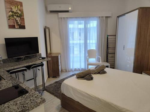 Al Ahyaa Apartment | A Superb Studio Apartment