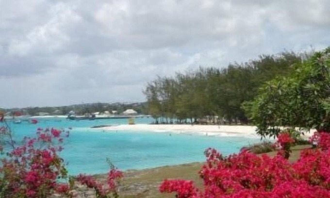 Enterprise House | A very comfortable house, close to Miami beach with a large tropical garden