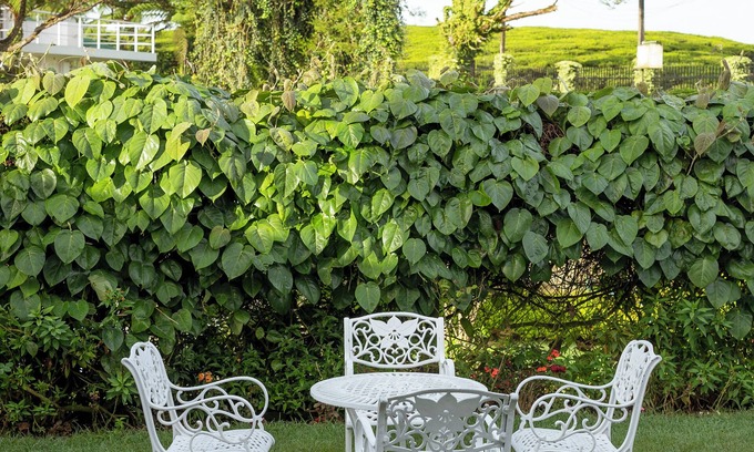 Nuwara Eliya Hotel | Aaradhya Nuwara Eliya