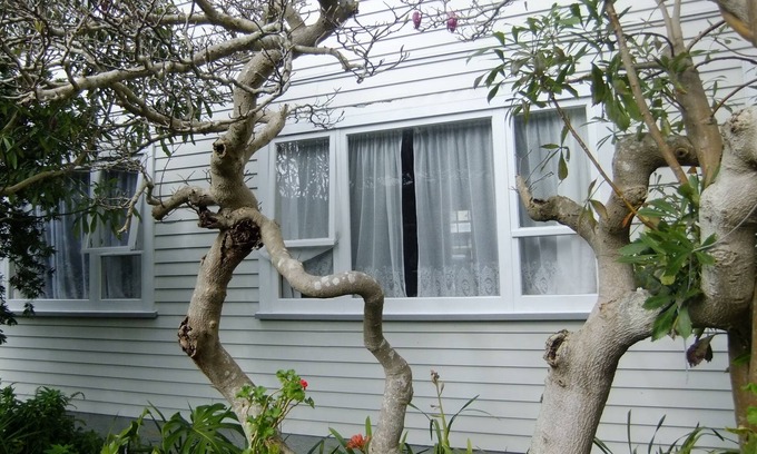Lower Hutt Hotel | Abbeycourt Motel