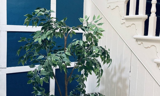 Liverpool House | Abbeyfield Guesthouse