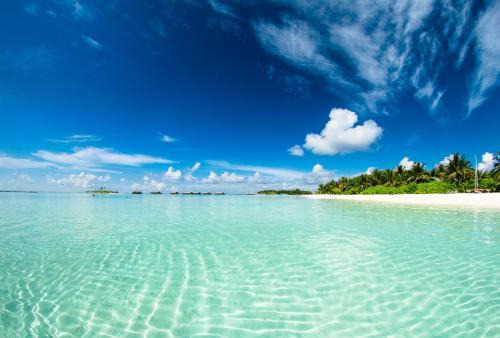 Ko Pha-ngan Hotel | Absolute Beachfront Villas