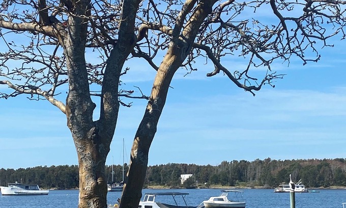 Shoalhaven Heads Cabin | Absolute Waterfront - Lorsens On The River - 3 x 2 bedroom cabins