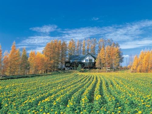 Biei House | Adagio Hokkaido