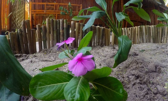Satun Hotel | Adang Sea Divers & Eco Lodge Koh Lipe