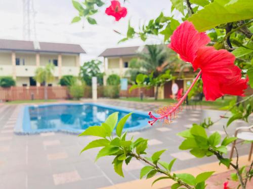 Lubok Buaya Hotel | Adina Drive-In Motel Cenang - Managed By Shell Out Resort