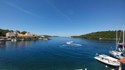 Pomena Apartment | Adio Mare
