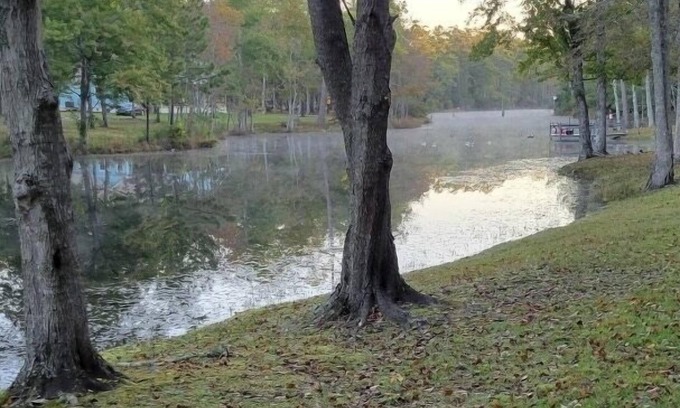 Georgetown Cabin | Adorable 2 story lake front setting.