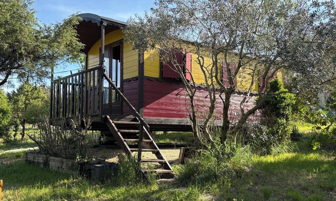Bidon House | Adorable "Carpe Diem" caravan in a peaceful natural setting