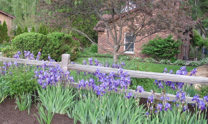 New Buffalo Cottage | Adorable Cottage New Buffalo, Mi. Near Grand Beach.1 Bedroom, Sleeps 5