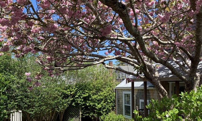 Nantucket Town House | Adorable Cottage on West Dover-Town