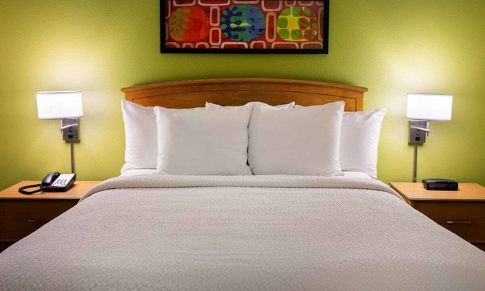 Shea Business Park Hotel | Adventure in Scottsdale, Short Drive To Arizona Museum of Natural History!
