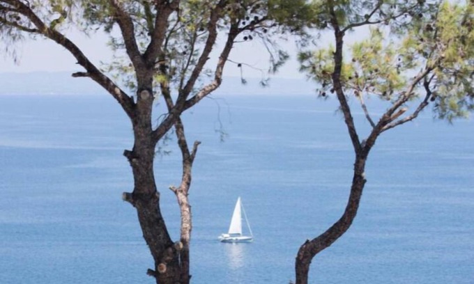 Kassandra Hotel | Aelia Sea View Studios