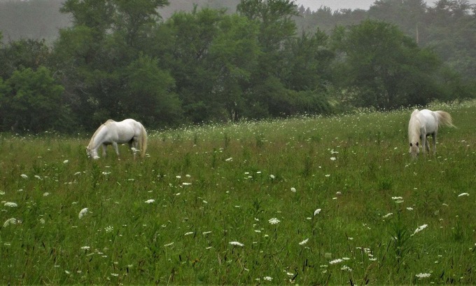 Mount Liberty RV Rental | Affordable , Beautiful Farm Stay Campground in Amish Country, Tent Camping