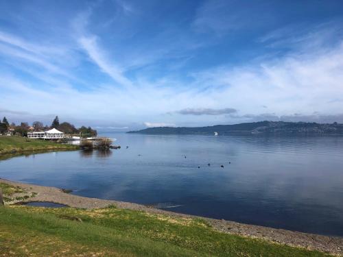 Two Mile Bay Apartment | Affordable One Bedroom Apartment Lake Taupo C4