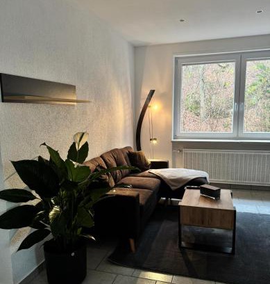 Pirmasens Apartment | AFL house