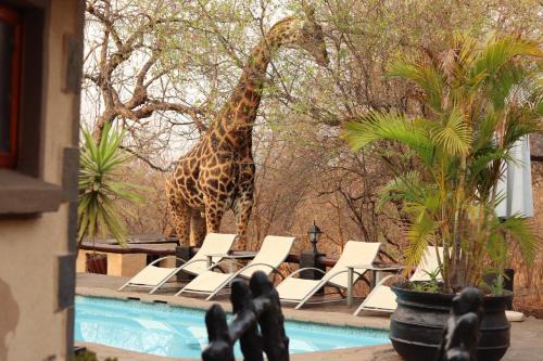 Hoedspruit Cabin | African Rock Lodge