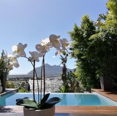 Capri Apartment | African Violet - Terraces