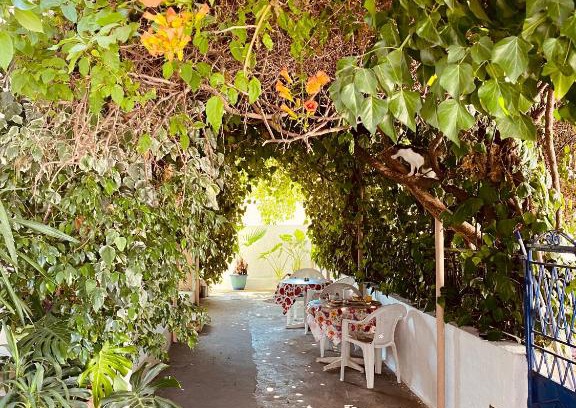 Archangelos House | Afroditi Pension