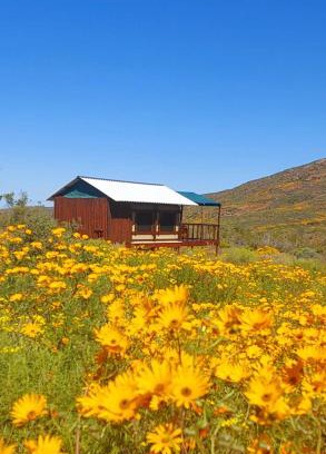Kamiesberg Other | Agama Tented Camp