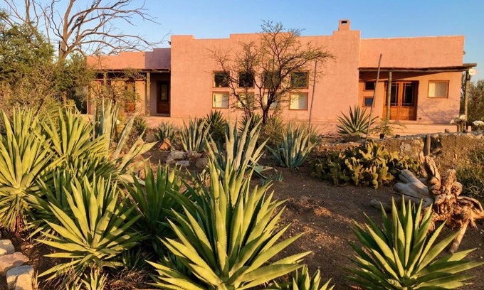 Prince Albert House | AGAVE HOUSE