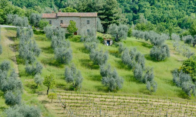 Castiglione d'Orcia House | Agriturismo Bindozzino