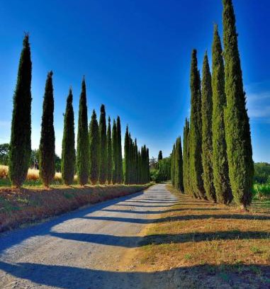 Magliano in Toscana House | Agriturismo Boschetto di Montiano