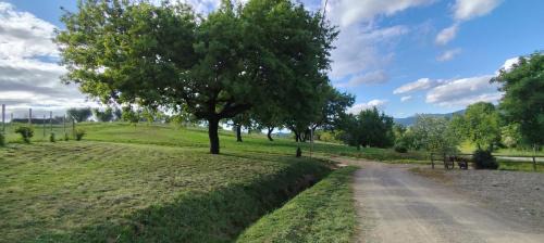 Gavorrano Apartment | Agriturismo Campo alla Cantina appartamento Ginestra