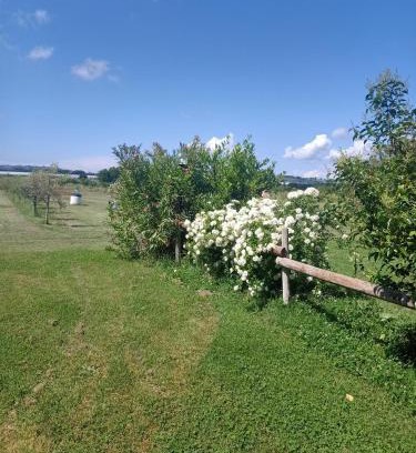 Rosignano Marittimo House | Agriturismo Il Cipresso