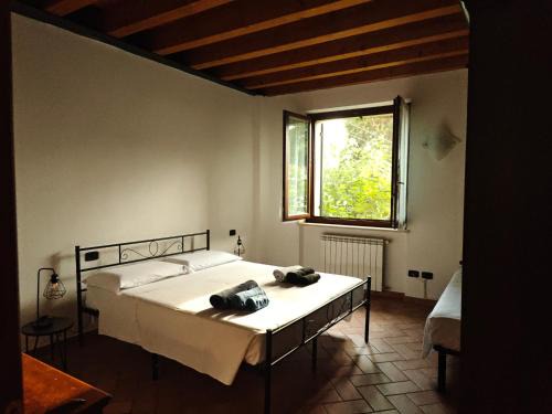 Castelnuovo del Garda Apartment | Agriturismo Finilon Appartamenti
