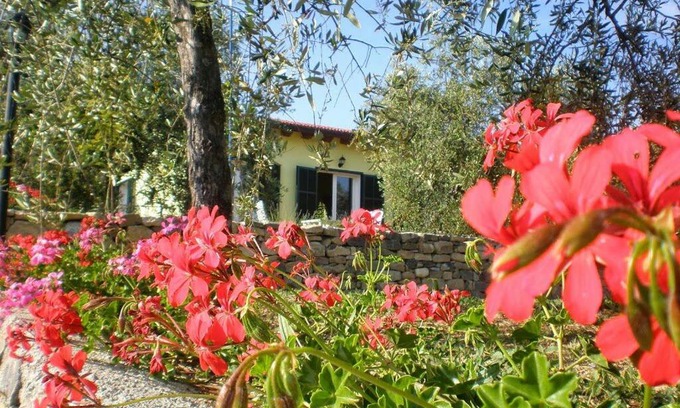 Santo Stefano al Mare House | Agriturismo Green House