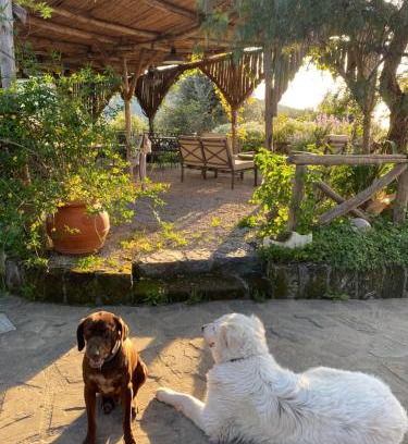 Piano di Sorrento House | Agriturismo L'Olivara