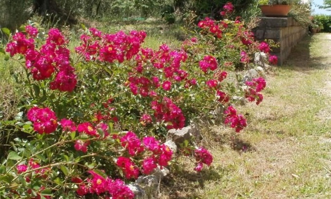 Viterbo House | Agriturismo Le Quattro Stagioni