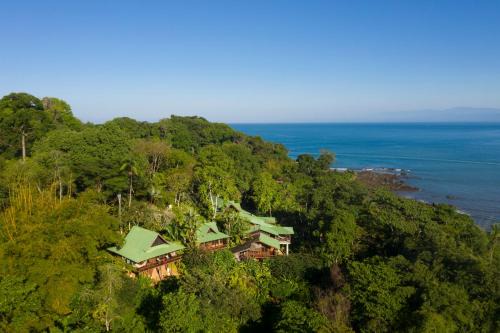 Drake Bay Hotel | Aguila de Osa Rainforest Lodge