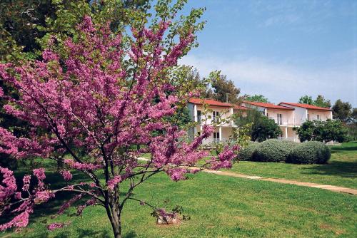 Medulin Resort | Ai Pini Medulin Resort