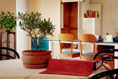 Monte Urano Bed & Breakfast | Ai Quattro Ulivi B&B