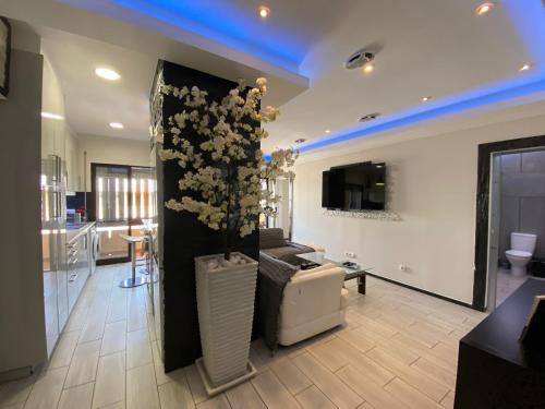 Sao Pedro Apartment | AL MMaria