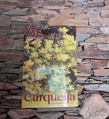 Benfeita House | AL Rossadas Carqueija