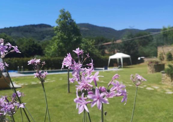 La Strada-Santa Cristina Bed & Breakfast | Alba Morus Bed & Breakfast sentiti a casa nel cuo