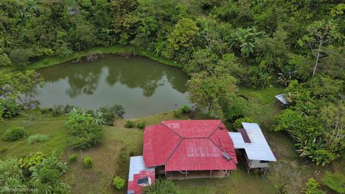 Puerto Jimenez House | Albergue La Laguna