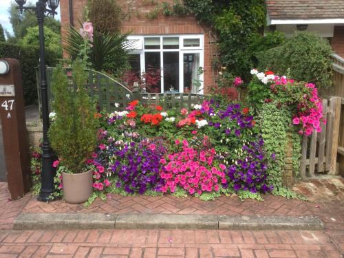 New Forest District Bed & Breakfast | Albertine ,A warm welcome awaits you ,Offering room only or bed and breakfast ,Ideal location for Solent Way ,High Street ,Isle of Wight ,New Forest