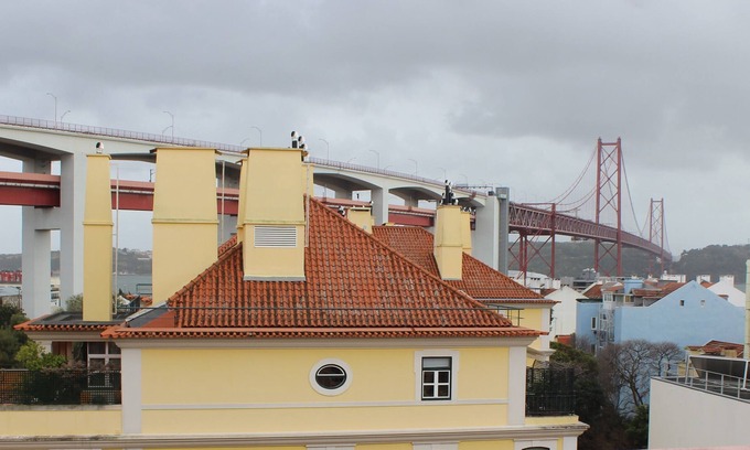 Santo Amaro Apartment | Alcantara Garden with terrace