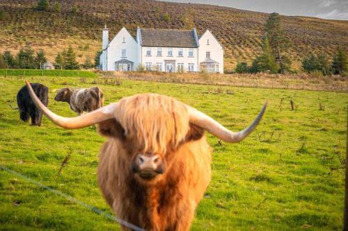 Auchterarder House | Alexander House 24 - Self Catering