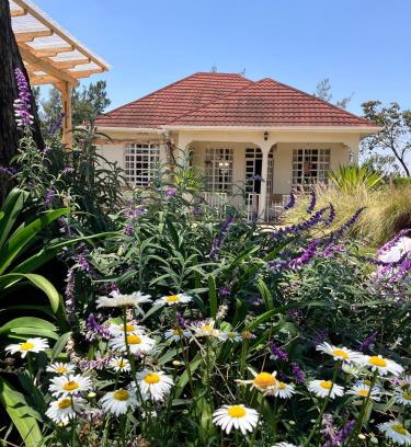 Arusha Bed & Breakfast | Allamanda House Meru