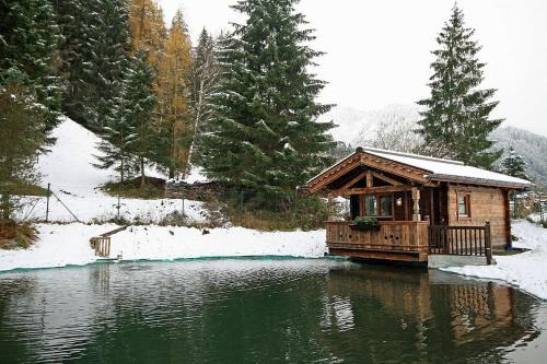 Hollersbach im Pinzgau Ski Chalet | Almliesl HOLL-559
