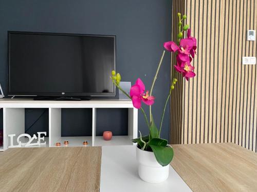 Caravaca de la Cruz Apartment | Alojamiento Central Caravaca