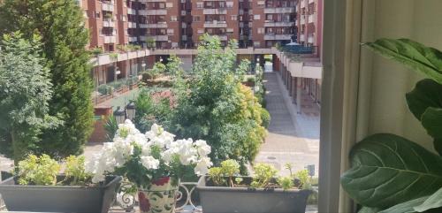 La Corredoria y Ventanielles Apartment | Alojamiento Oviedo 3 con parking