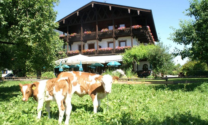 Niederaudorf Hotel | Alpenhof Landhotel Restaurant