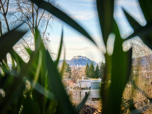 Elsbethen Apartment | Alpenpanorama Karl und Johanna