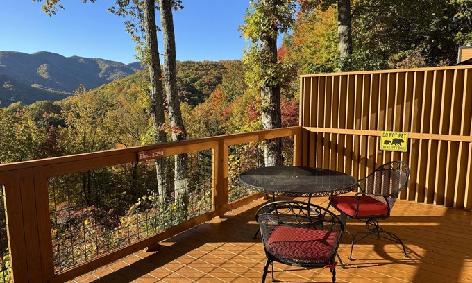 Burnsville House | Alpine Village - Townhouse